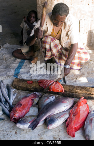 Der Fischmarkt auf der arabischen Halbinsel Hadibo Strand, Insel Sokotra, Jemen, Westasien. Stockfoto