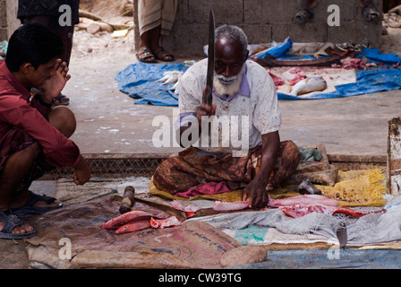 Der Fischmarkt auf der arabischen Halbinsel Hadibo Strand, Insel Sokotra, Jemen, Westasien. Stockfoto