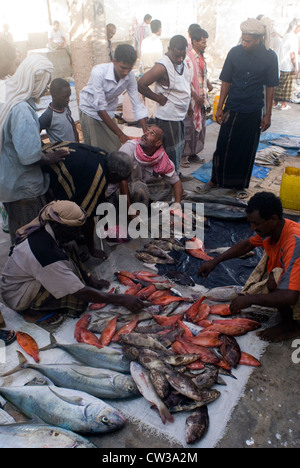 Der Fischmarkt auf der arabischen Halbinsel Hadibo Strand, Insel Sokotra, Jemen, Westasien. Stockfoto