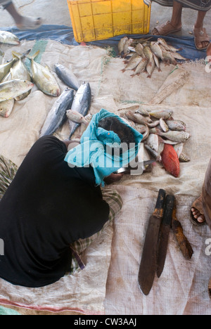 Der Fischmarkt auf der arabischen Halbinsel Hadibo Strand, Insel Sokotra, Jemen, Westasien. Stockfoto