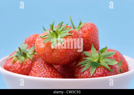 Nahaufnahme von frischen Reifen Erdbeeren in blass rosa Schüssel vor blauem Hintergrund Stockfoto