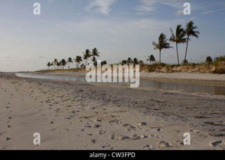 Sanibel Island Florida USA Stockfoto