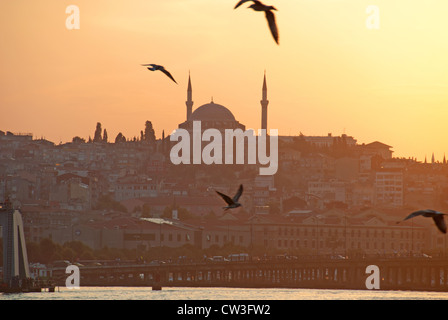 ISTANBUL, TÜRKEI. Ein Abend-Blick auf die Yavuz Selim-Moschee mit Blick auf das Goldene Horn. 2012. Stockfoto