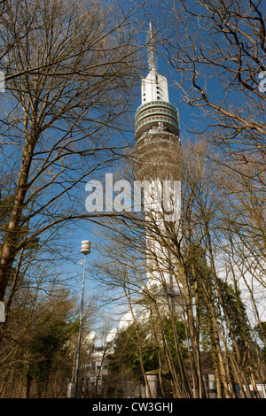 Niederländische Mediatower zwischen den Bäumen Stockfoto