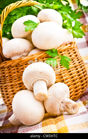 Weidenkorb voller Frische Champignon Pilze Stockfoto