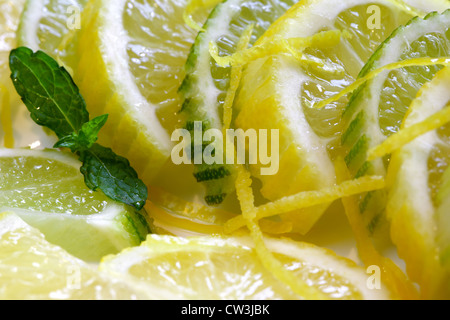 Zitronen und Limetten Scheiben Stockfoto