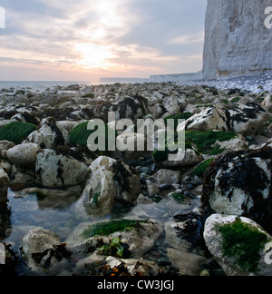 Am Strand zwischen Beachy Head und Birling Gap, East Sussex an einem späten Sommernachmittag Stockfoto