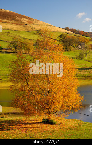 Schönen Herbsttag am oberen Derwent Valley, Peak District, Nationalpark, Ladybower Vorratsbehälter, Derbyshire. UK Stockfoto