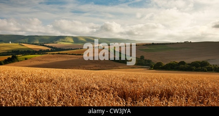 Blick in Richtung Kingston Grat auf den South Downs von Lewes, East Sussex, England, UK Stockfoto