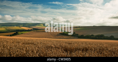 Blick in Richtung Kingston Grat auf den South Downs von Lewes, East Sussex, England, UK Stockfoto