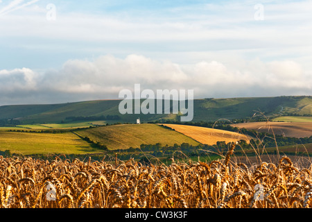 Blick in Richtung Kingston Grat auf den South Downs von Lewes, East Sussex, England, UK Stockfoto