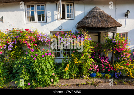 Ferienhaus in Branscombe, Devon, England, Vereinigtes Königreich, Europa Stockfoto