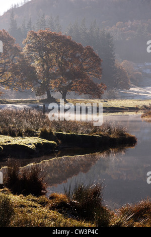 Frostigen Herbstmorgen im November durch den Fluß Brathay, Elterwater, Lake District, Cumbria, England, UK Stockfoto