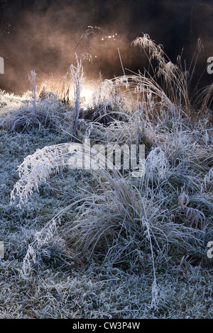 Sonnenschein durch frostige Gras- und Nebel steigt vom Fluß Brathay, Elterwater, Cumbria, England, UK Stockfoto