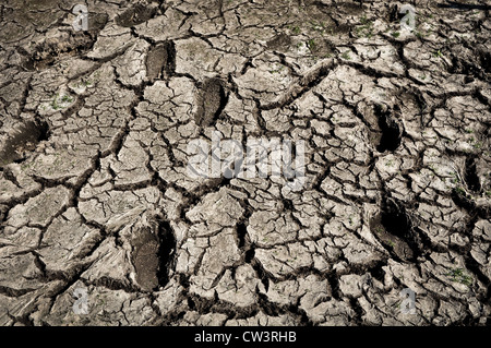 Fußspuren im gerissenen Schmutz Stockfoto