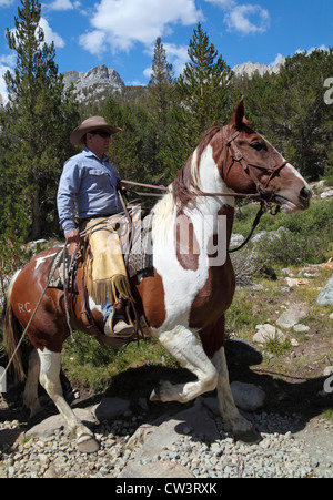 Reiterin von Rock Creek Pack Station in kleinen Seen-Tal im Rock Creek Canyon in Nordkalifornien Stockfoto