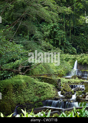 Das heilige Wasser Tempel Pura Mengening. Die Gewässer hier fließen nach unten durch die Subaks von Tampaksiring. Stockfoto