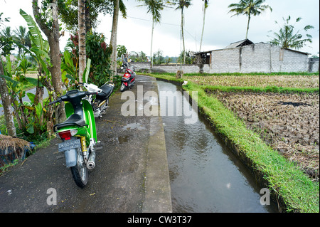 Motorräder und Roller geparkt entlang Wasser Bewässerungskanäle in den Reisfeldern von der Subaks Tampak Zeugung Stockfoto