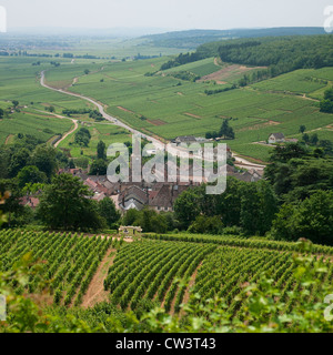 Weinberge rund um die burgundischen Dorf Pernand Vergelesses Blick in Richtung Beaune in der Ferne Stockfoto