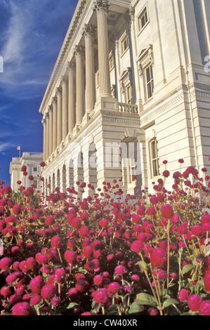 Bibliothek des Kongresses, Washington, DC Stockfoto