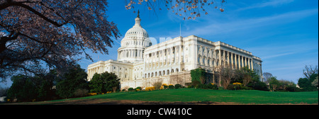 Dies ist das Kapitol im Frühjahr mit Kirschblüten. Die Meereshöhe liegt vor einem blauen Himmel. Stockfoto