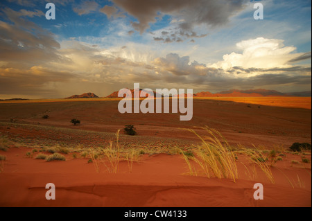 Blick bei Sonnenuntergang vom Elim Düne, Namib-Naukluft NP, Namibia Stockfoto