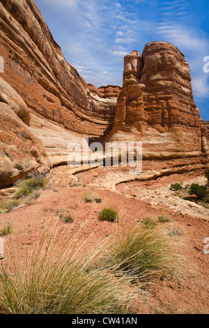 Felsformationen in einer Landschaft, Canyonlands National Park, Utah, USA Stockfoto