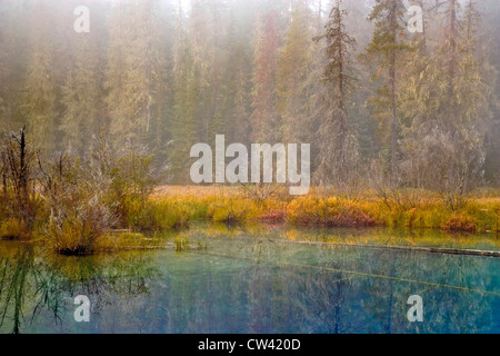 Reflection of trees in a lake, Little Crater Lake, Mount Hood National Park, Portland, Oregon, USA Stockfoto