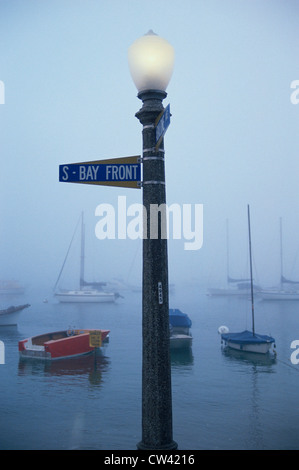 Das ist Balboa Park und Hafen im Nebel. Es ist ein Zeichen, das sagt der Balboa Park. Stockfoto