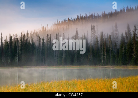 Nebel bedeckt Bäume am Seeufer, Scott Lake, Willamette National Forest, Oregon, USA Stockfoto