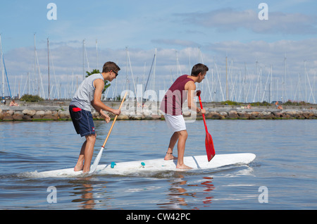 Zwei Jugendliche, die Spaß haben stand Paddeln auf einem Surfbrett an einem sonnigen Sommertag am Strand am Hafen von Rungsted, Dänemark. Stockfoto