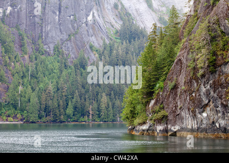 Bäume in einem Wald am Seeufer, Rudyerd Bay, Misty Fjorden National Monument, Alaska, USA Stockfoto