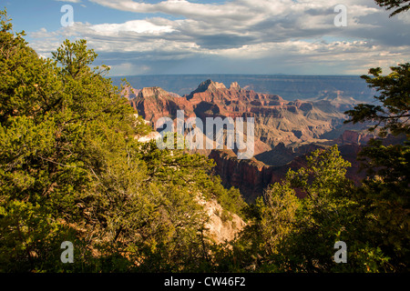 Bright Angel Point, North Rim des Grand Canyon Stockfoto