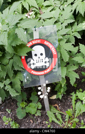 giftige Pflanze Warnung Stockfoto
