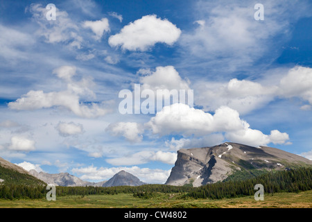 Kanada, Mount Assiniboine Provincial Park, Mount Cautley, anzeigen östlich von O'Brien Wiesen, Og Lake trail Stockfoto