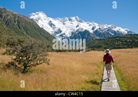 Auf dem Weg der Kea Point in der Nähe von Mt Cook Village, nach Nordwesten bis zu den Gipfeln des Mt Sefton und der Hocker auf die große Kluft Stockfoto