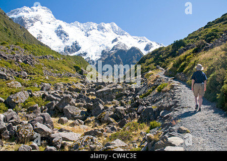 Auf dem Weg der Kea Point in der Nähe von Mt Cook Village, nach Nordwesten bis zu den Gipfeln des Mt Sefton und der Hocker auf die große Kluft Stockfoto