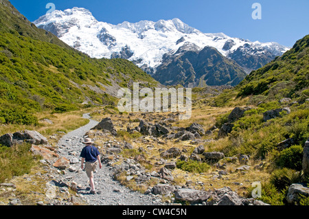 Auf dem Weg der Kea Point in der Nähe von Mt Cook Village, nach Nordwesten bis zu den Gipfeln des Mt Sefton und der Hocker auf die große Kluft Stockfoto