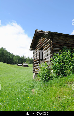 Traditionelle österreichische Holzlagerung Hütte oder Gebäude an der Seite eines steilen Talseite Stockfoto