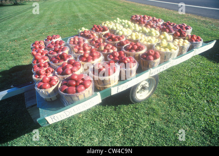 Apple-Körbe sitzen auf einem Anhänger am Straßenrand in Clermont, NY Stockfoto