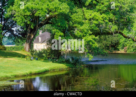 Middleton Place Plantation, Charleston, SC Stockfoto