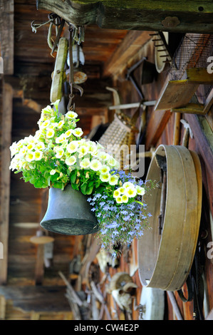 Hängenden Blumen von Kuhglocke befestigt an einem hölzernen Schuppen mit anderen landwirtschaftlichen Geräten und in Österreich umzusetzen. Stockfoto