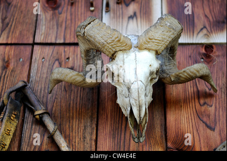 Alte Werkzeuge für die Holzbearbeitung und landwirtschaftliche Geräte fest an der Seite einer hölzernen Scheune in den österreichischen Alpen. Stockfoto