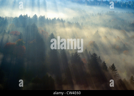 Luftaufnahme der Morgennebel und Sonnenaufgang im Herbst in der Nähe von Stowe, VT an der malerischen Route 100 Stockfoto