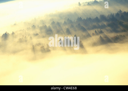 Luftaufnahme der Morgennebel und Sonnenaufgang im Herbst in der Nähe von Stowe, VT an der malerischen Route 100 Stockfoto