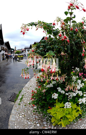 Nasse und feuchte Straße nach einem Regenschauer in Mittenwald, Deutschland. Stockfoto