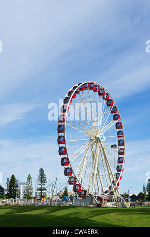 Die Skyview Riesenrad in Fremantle; Western Australia. Stockfoto