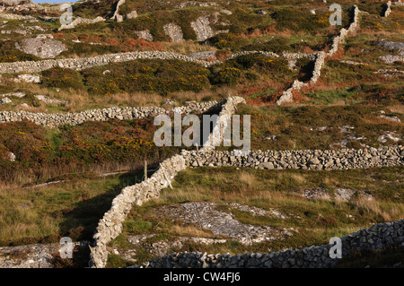 Steinmauern schlängeln sich über die Landschaft Einstellung Boundarys, Carraroe, Conamara, County Galway, Irland Stockfoto