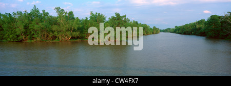 Lake Fausse Pointe State Park, Louisiana Stockfoto