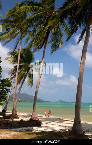 Strand mit Palmen und den Golf von Thailand auf der Insel Ko Samui, Thailand. Stockfoto